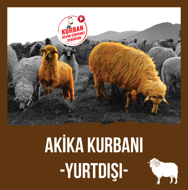 Akika - YurtİÇİ